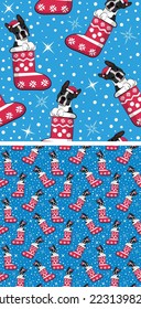 Diseño de patrones con perros Boston Terrier en medias, patrón sin fisuras. Textil repetible, papel envolvente, diseño gráfico de fondo azul. Papel tapizado de invierno de Navidad con copos de nieve, perro con sombrero.