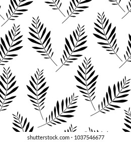pattern design branch palm leaves nature decoration vector illustration