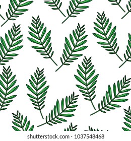 pattern design branch palm leaves nature decoration vector illustration