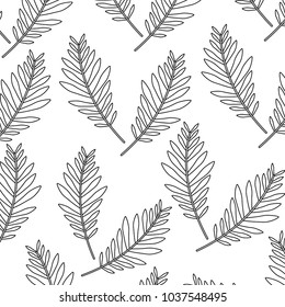 pattern design branch palm leaves nature decoration vector illustration outline design