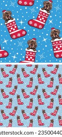 Pattern design with Wirehaired Pointing Griffon dogs in stockings, seamless pattern. Repeatable textile, wrapping paper, blue background graphic design. Christmas winter wallpaper with snowflakes.