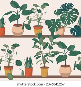 Pattern of different houseplants on shelf. Ficus, monstera, succulent, pilea in various pot, vase. Scandinavian cozy home decor. Flat vector cartoon print pattern illustration