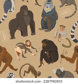 Pattern with different types of monkeys. Variety of primates, mammals animals. Images for nature reserves, zoos and children's educational paraphernalia. Vector illustration. Isolated objects.