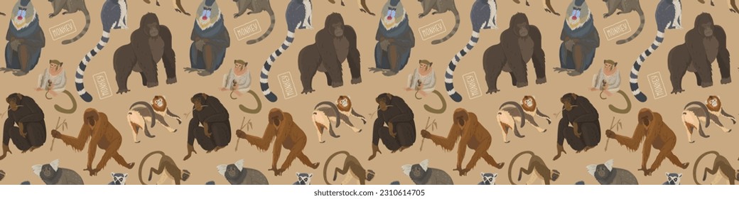 Pattern with different types of monkeys. Variety of primates, mammals animals. Images for nature reserves, zoos and children's educational paraphernalia. Vector illustration. Isolated objects.