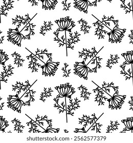 pattern dill and cumin, twigs, flowers. Culinary herbs and spices, hand-drawn. Seamless grass is symmetrical. black outline on white. Vector illustration. Seasonings, spices, food additives, art deco