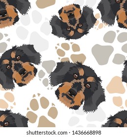 Pattern with dog paws dachshund
