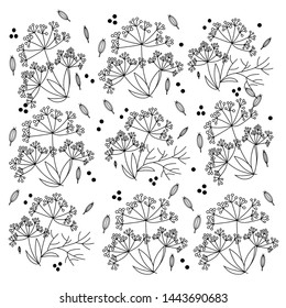 Pattern from the drawn contour of inflorescence of dill. For registration and printing of packaging, fabrics, paper, labels, other printing.