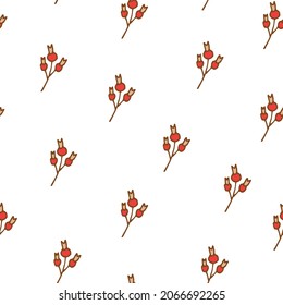 Patrón con dogmas dibujados. cadera, rosa de perro, rosa salvaje. Berry de dogrose dibujada a mano. Fondo floral sin fisuras. Bayas de otoño. Impresión para diseño cosmético, medicina natural, té de hierbas, comida orgánica.