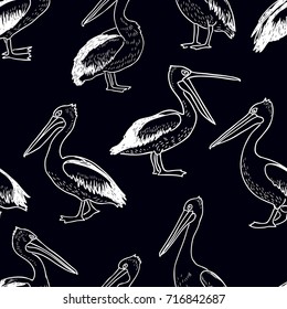 pattern of the drawn pelicans 