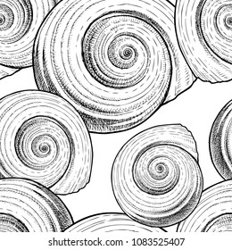 Pattern of the drawn spiral seashells