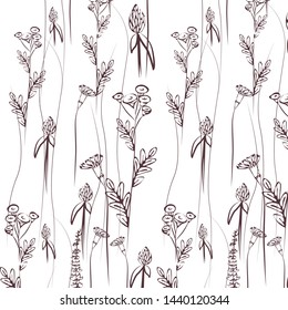 
pattern dry field flowers on white background delicate pattern