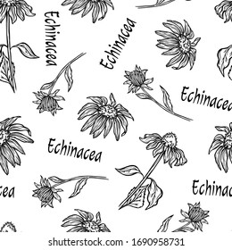 Motivo de las flores de la hierba medicinales cartón cartón natural carteles de fondo carteles de la naturaleza portada ilustración vectorial