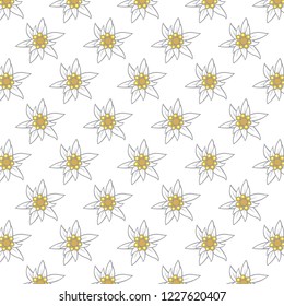 pattern with edelweiss flowers