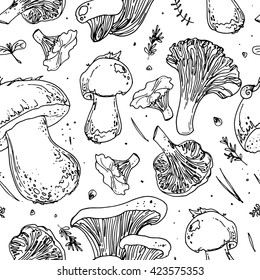 Pattern of edible mushrooms. Autumn harvest wild mushrooms. Boletus edulis, chanterelles, oyster, twig trees, cones