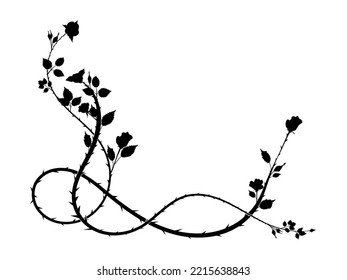 pattern element corner of a rose with thorns weaving plant. scroll image vector