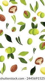 Pattern of element of tree Argan. Nuts and plants of argan oil. Natural oils and cosmetics. Beauty concept.	
