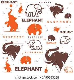 pattern of elephant animals with various movements and shapes, and fresh colors suitable for decoration and others.