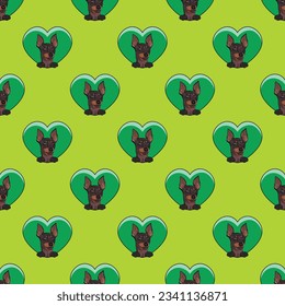Pattern with English toy terrier with paws, Valentine's Day wallpaper with hearts. Love heart with pet head holiday texture. Dog face looks out a Heart, Cartoon square green background.St Valentine's 