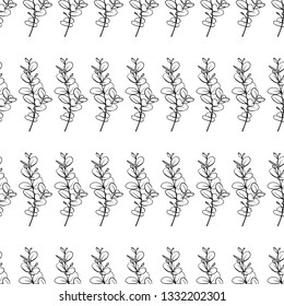 Pattern eucalyptus illustration on white background
