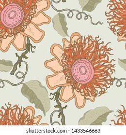 Pattern exotic flowers in different positions