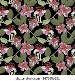 pattern of exotic guava flower, flora