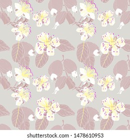pattern of exotic guava,guava flower, leafs