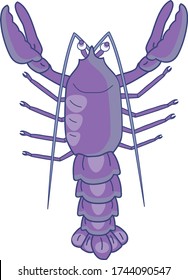 Pattern extremely rare purple shiny lobster 