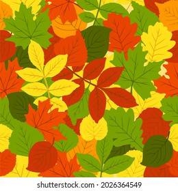 El patrón está de moda en otoño. Las hojas son roble, abedul, álamos, arce. Espacio para copiar. Aplicable a la impresión, afiches, postales, sitios web. Ilustración vectorial.