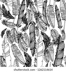 Pattern with feathers.