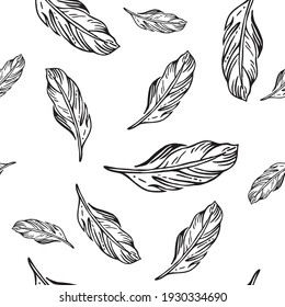 A pattern of feathers. Contour drawing. Vector seamless background