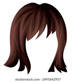 pattern of female brown hair with bangs and a square braid, for female characters