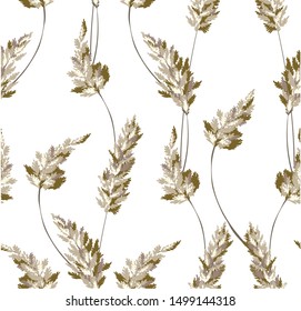 Pattern with field of natural beige spikelet of wheat, botanic grass with branches on white background 