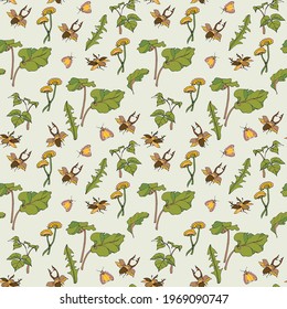 pattern with field plants and insects beetles garden dandelions burdocks