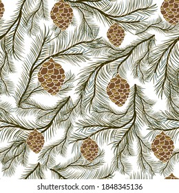 Pattern of fir branches with cones. Vector seamless texture. 
