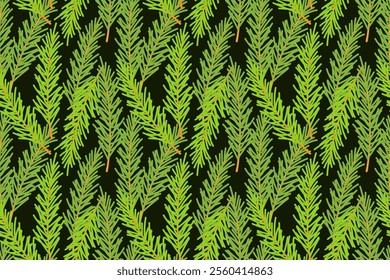 Pattern of fir branches, coniferous green branches, Christmas holiday background, backdrop, backing, on dark background. Vector illustration