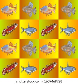 pattern of fish illustration art design