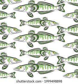 Pattern with fishes. White background. Icefish. 
