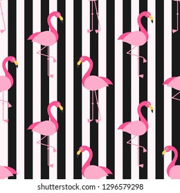 Pattern with Flamingo birds on the background with black stripes