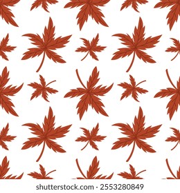 El patrón es una ilustración plana de una hoja de otoño de un herbario. Arce japonés. flor seca sobre un fondo blanco. elemento decorativo de diseño floral. Hierbas, hojas de plantas atadas. botánico