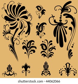 pattern floral elements for design