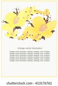 pattern floral with jasmine for a card. vector illustration