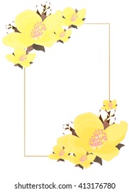 pattern floral with jasmine for a card vector illustration
