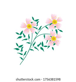 Patrón con motivos florales que pueden imprimirse para paños, manteles, mantas, camisas, vestidos, afiches, papeles.