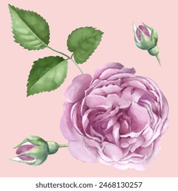 Pattern flower. Vector illustration in a watercolor style. Use printed materials, signs, objects, websites, maps.
