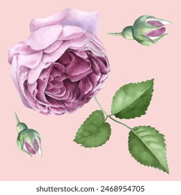 Pattern flower. Vector illustration in a watercolor style. Use printed materials, signs, objects, websites, maps.