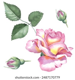 Pattern flower. Vector illustration in a watercolor style. Use printed materials, signs, objects, websites, maps.
