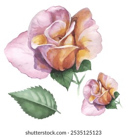 Flor padrão. Ilustração vetorial em estilo de aquarela. Use materiais impressos, sinais, objetos, sites, mapas.
