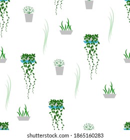 Pattern of flowering and not blooming house plants on white background