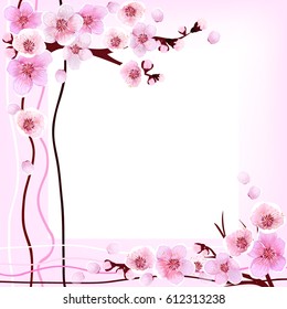  Pattern with flowers. Apricot, peach, cherry, plum. Vector illustration. Springtime.