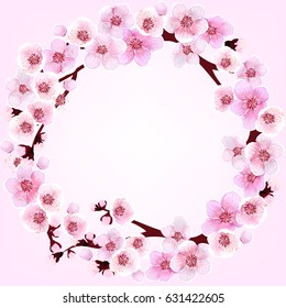Pattern with flowers. Apricot, peach, cherry, plum. Vector illustration. Springtime.
